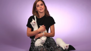 Emma Watson’s kitten interview is your Monday morning pick-me-up
