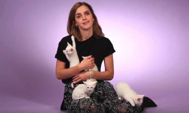 Emma Watson’s kitten interview is your Monday morning pick-me-up