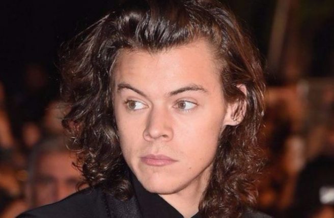 Aaaand he’s finally done it! Harry Styles has spilled the solo deets