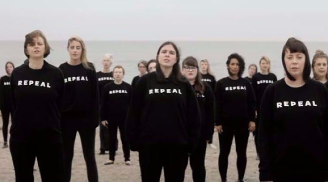 Dublin City Council has formally voted to support the Strike 4 Repeal