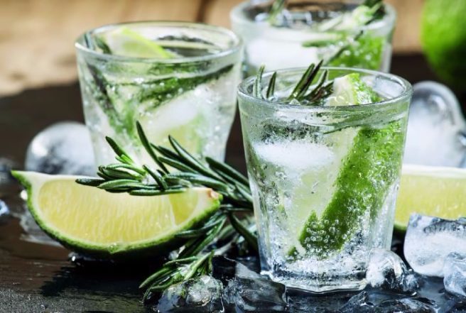 The best part about this new Dubin GIN festival is that it’s FREE