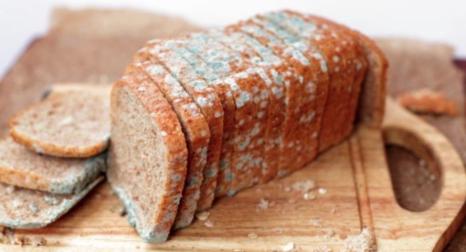 As tempting as it is, you should NOT cut mould off your bread