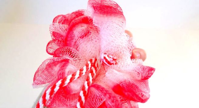 Grossed out: You need to go home and throw out your shower puff