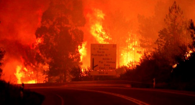 60 people killed in Portugal as forest fires race across the city