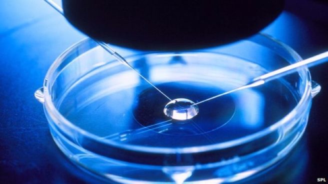 STI research: Vaccine shown to protect against gonorrhoea