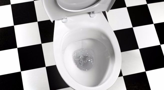 We’re all flushing our toilets wrong (according to a microbiologist)