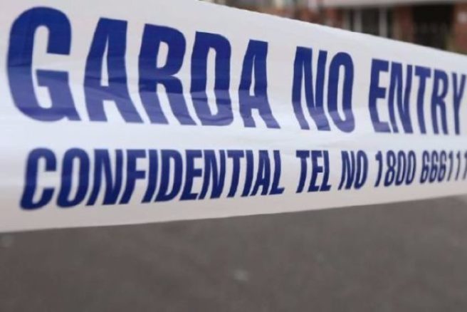Gardaí have found a gun in search for missing man Trevor Deely