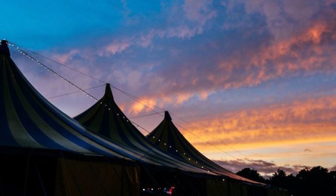 Want to win tickets to Electric Picnic? Dustin the Turkey can help…