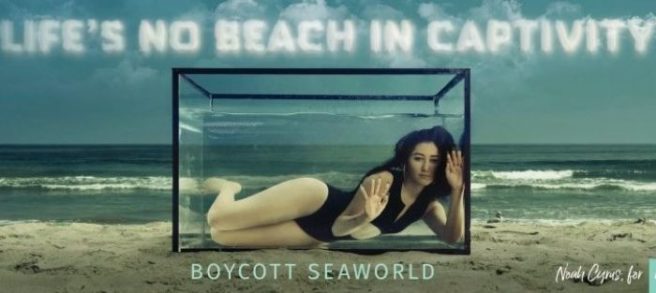 Noah Cyrus submerges herself in PETA’s new anti-SeaWorld ad