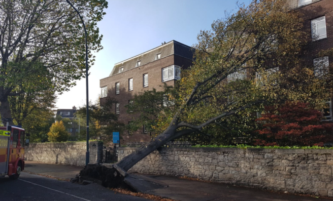 245,000 customers without power as Ophelia clean-up begins
