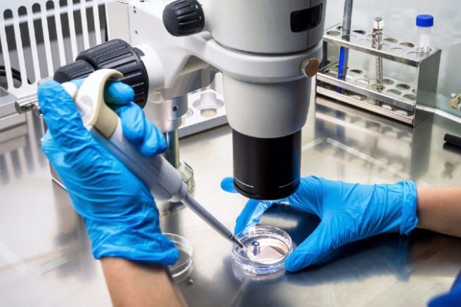 Irish scientists identify genetic factor in schizophrenia diagnosis