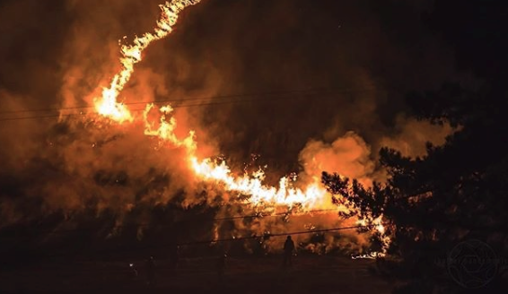 10 people lost their lives in Californian wild fires last night