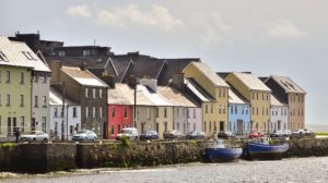 Reside in this county? It’s officially the veganism capital of Ireland