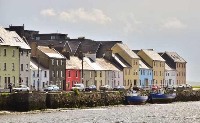 Reside in this county? It’s officially the veganism capital of Ireland