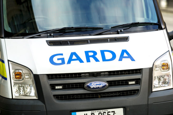 Investation launced into alleged attack on two teenagers in Meath