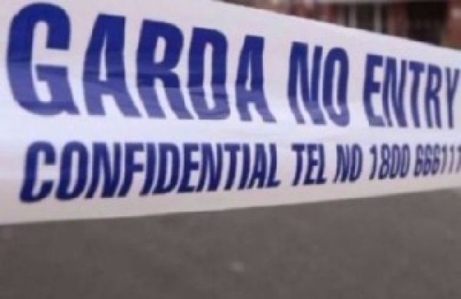 Gardaí investigate discovery of 8 dead horses on land in Tipperary
