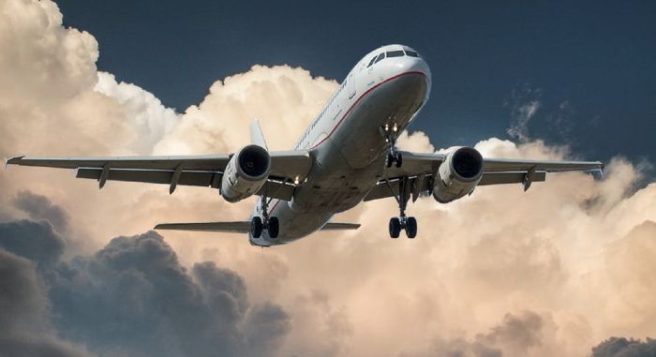 In the know: So, this is why cabin crew bring their own food on board