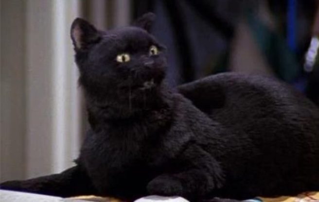 Hey witches: Here’s the first look at Salem in the Sabrina re-boot