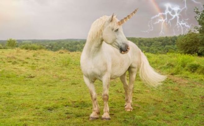 OK don’t panic, but scientists have proven that UNICORNS were REAL