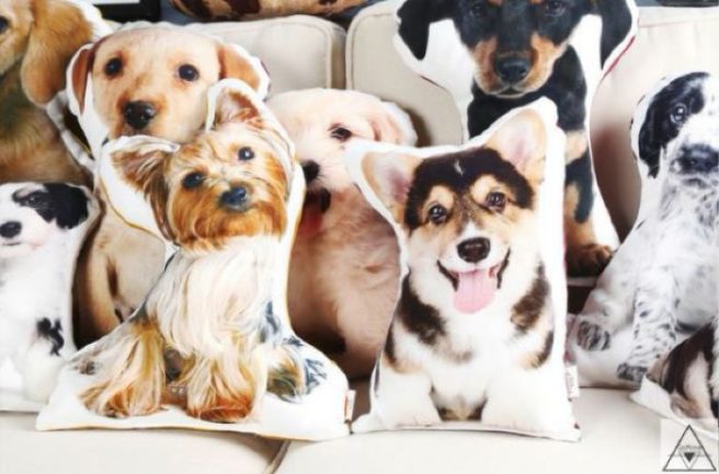 PSA: You can now get your very own giant customised pet pillow
