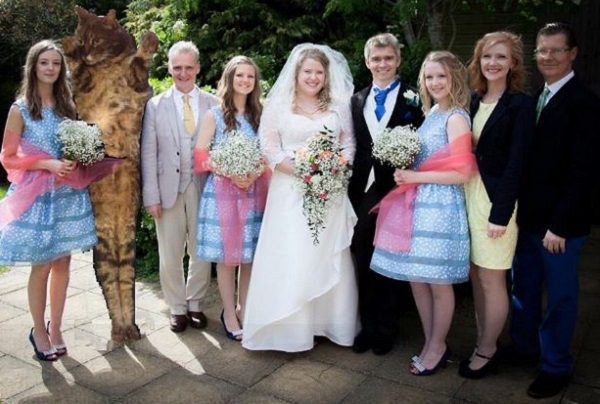 Genius: woman replaces ex-boyfriend with cat in family photos
