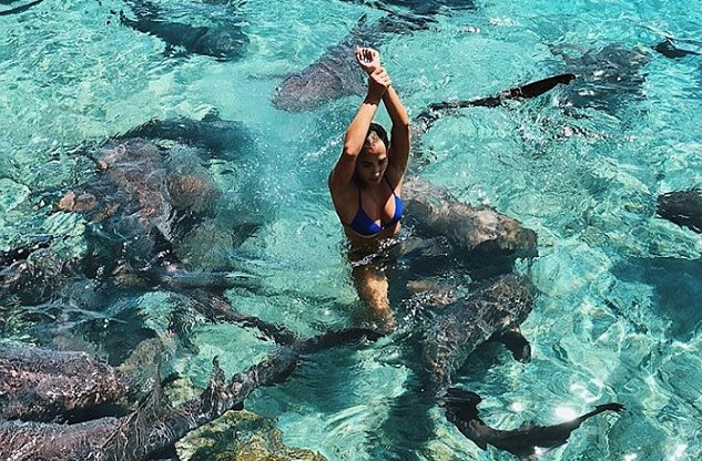Instagram model attacked by shark while posing for the perfect picture
