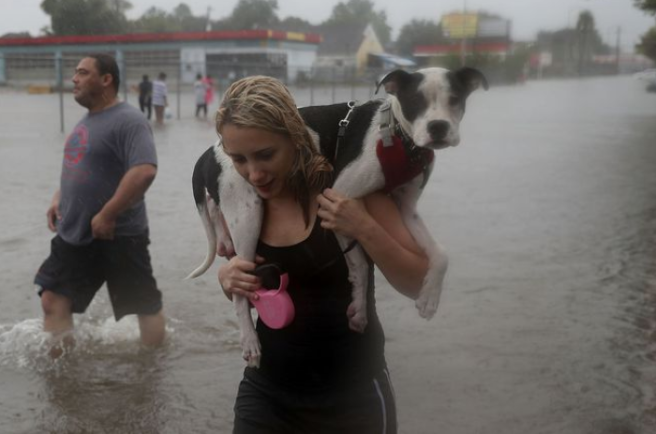Hurricane Lane’s torrential rains force residents to flee homes