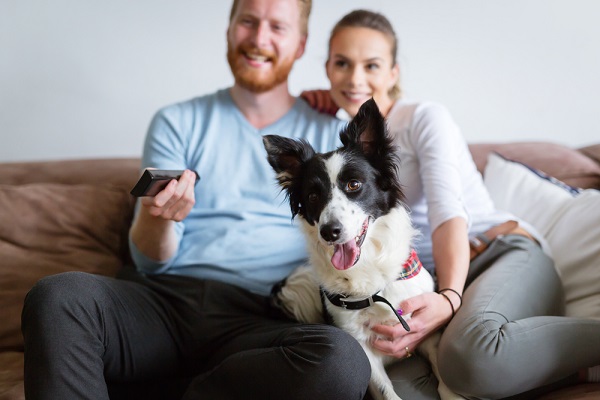 Feet up: Get ready for your Bank Holiday binge with Netflix
