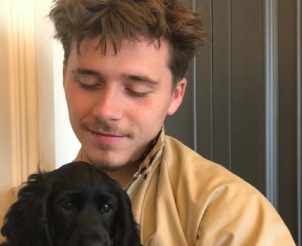 ‘Meet Fig’: Brooklyn Beckham’s new puppy is just the cutest