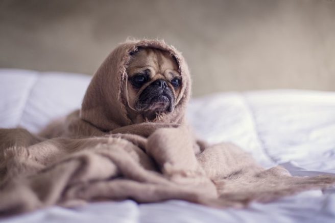 Grumpy b*tch: Could sleep be the reason you’re arguing with bae?