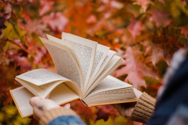 Girl power: 10 fabulous books by our favourite female authors