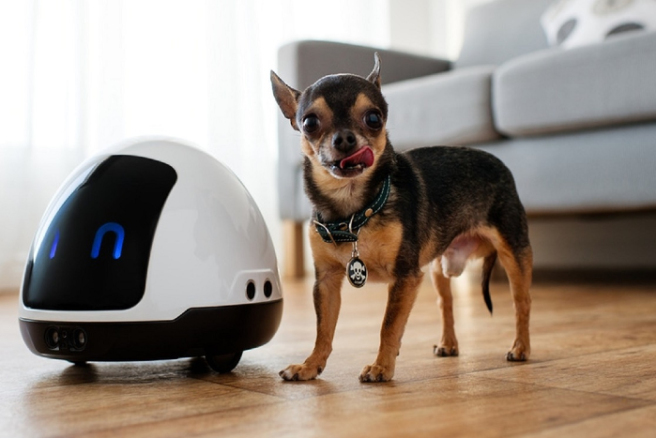 Will robot pets replace real dogs or cats? So fetch or no fetch…