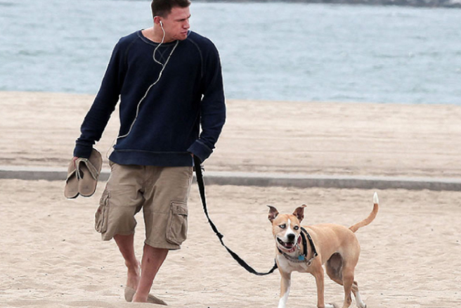 Channing Tatum and Jenna Dewan mourn the death of their dog