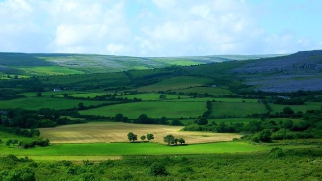 12 things you’ll remember if you grew up in the Irish countryside