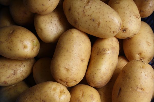 Dine/dump: Lad pretends he’s never heard of potatoes to GF’s parents