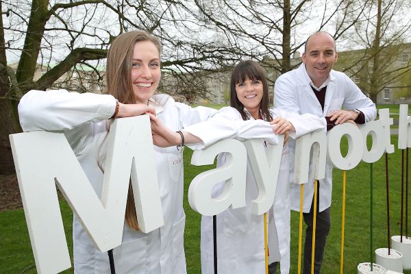 Clarins to help fund bee research project with Maynooth University
