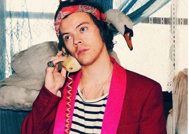 Noah’s Ark: Harry Styles’ third Gucci tailoring campaign stars…a pig?