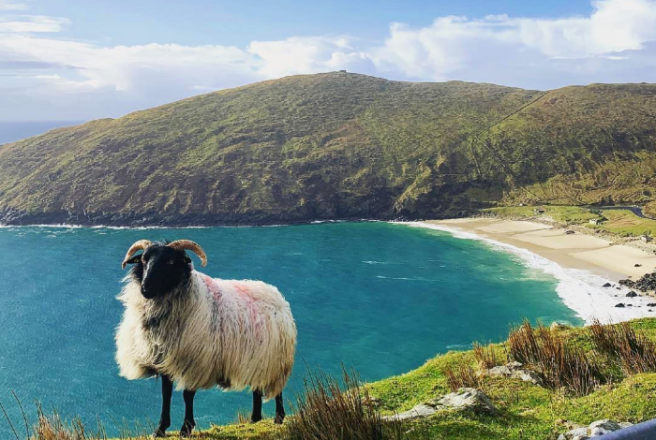 Emerald Smile: Mayo beach has been voted 11th best in the WORLD