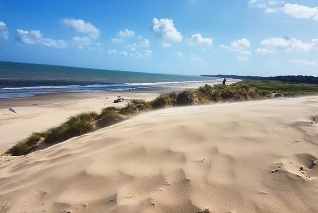 Research indicates that the majority of Irish beaches are polluted