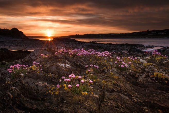 A charming town: It’s time to book a getaway and escape to Clonakilty