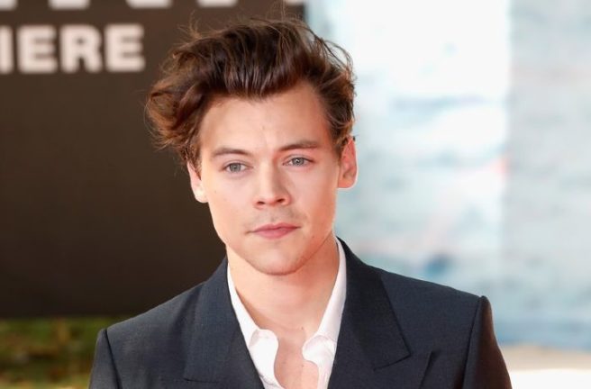 ‘Erratic behaviour’: Homeless man found guilty of stalking Harry Styles