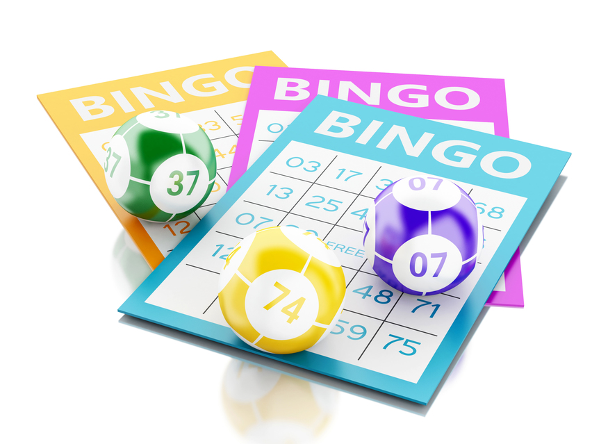 Bingo Bingo