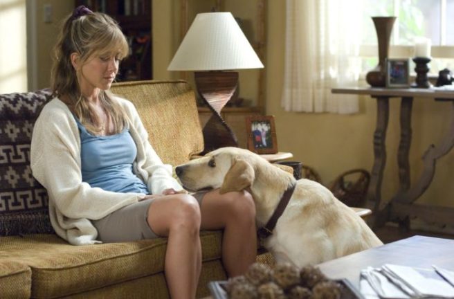 Think your dog knows what you’re saying? Well, science totally agrees
