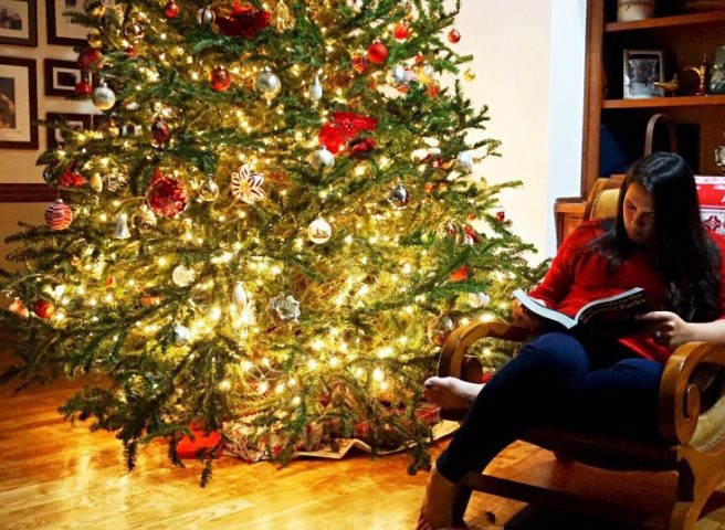 Christmas shop opens a month early due to demand
