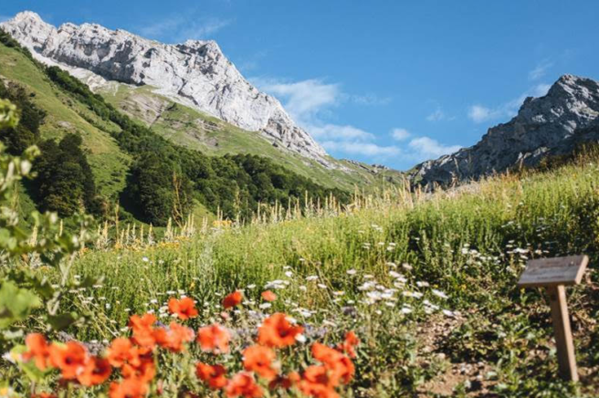 Clarins taking action to pass on a more beautiful planet