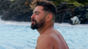Single again: Zac Efron and girfriend Vanessa split up