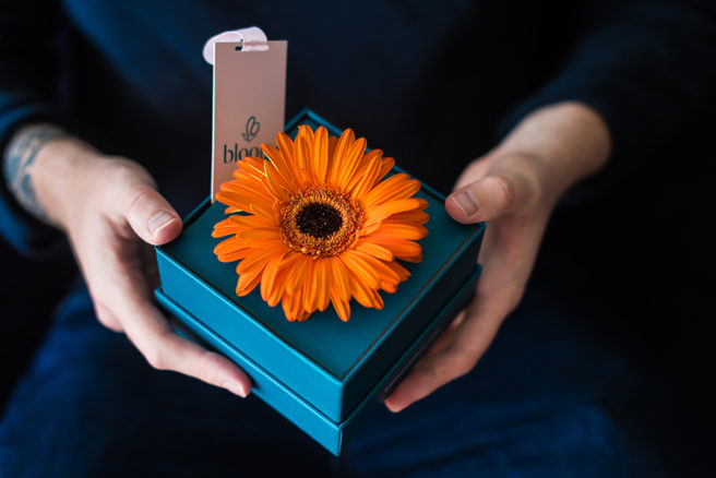Send a flower to a man in your life this November to show you care