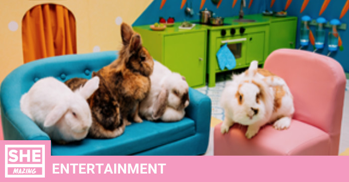 Tv Show With Rabbits You can now watch a ‘Big Brother’ type reality show about rabbits ...