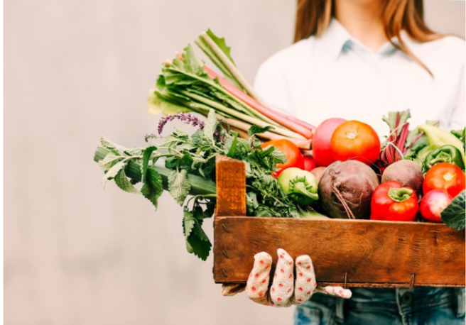 The easiest way to grow your own herbs & vegetables this summer