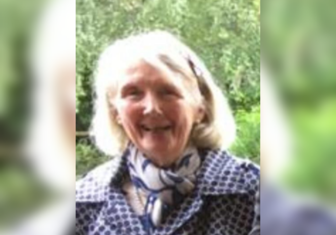 Gardaí issue public appeal for 82-year-old woman missing from Co. Wicklow